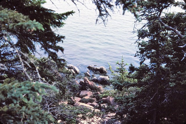 Acadia National Park
