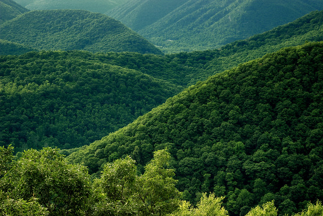 Allegheny National Recreation Area