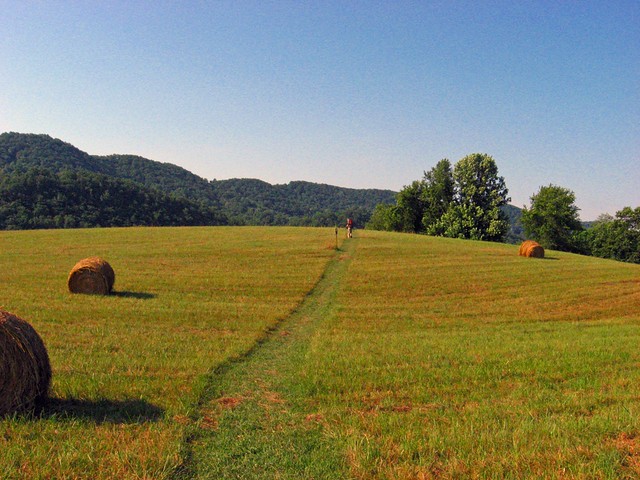 Appalachian National Scenic Trail
