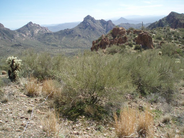 Arizona National Scenic Trail