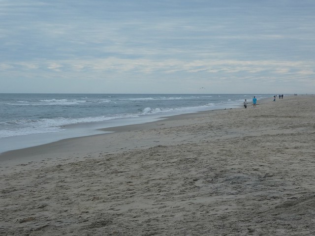 Assateague Island National Seashore
