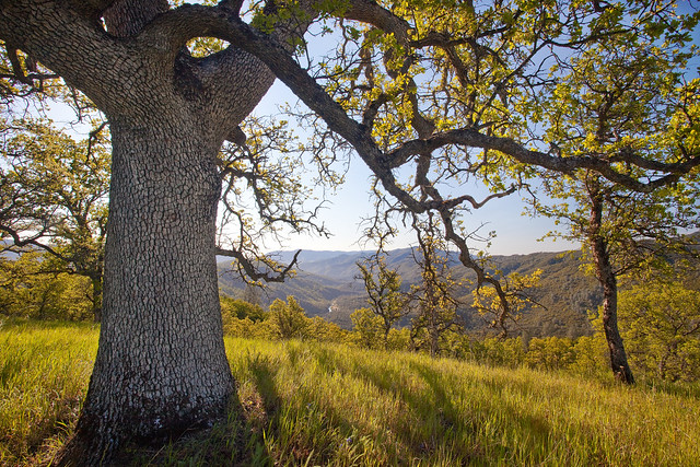Berryessa Snow Mountain National Monument