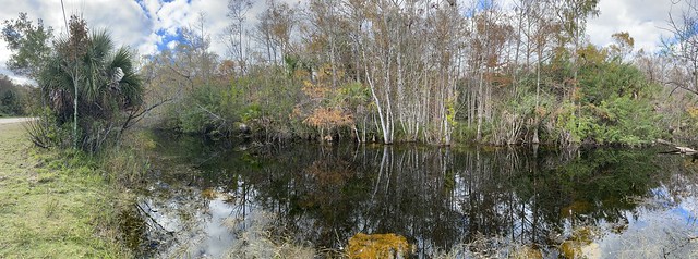 Big Cypress National Preserve
