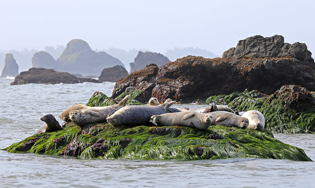 California Coastal National Monument