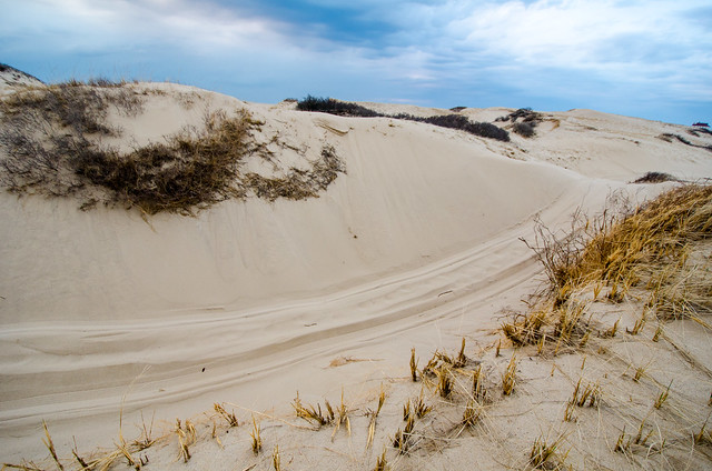 Cape Cod National Seashore