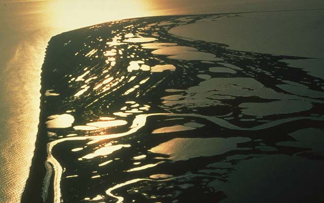Cape Krusenstern National Monument