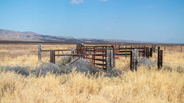 Carrizo Plain National Monument