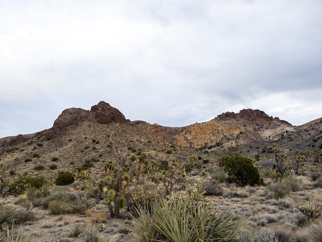 Castle Mountains National Monument