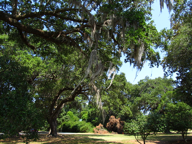 Charles Pinckney National Historic Site