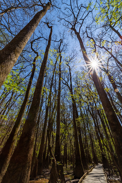 Congaree National Park