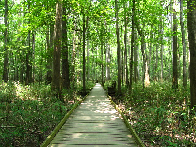 Congaree National Park