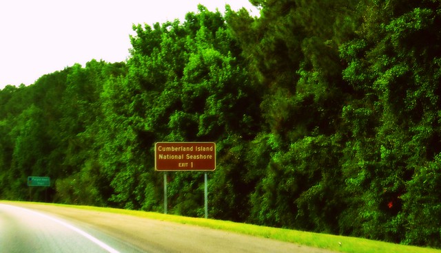 Cumberland Island National Seashore