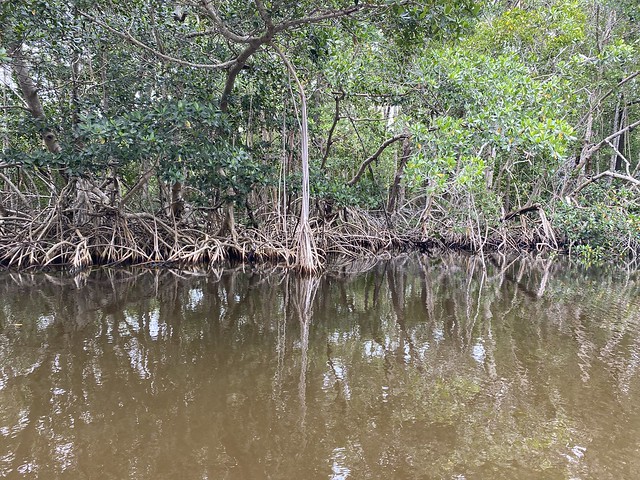 Everglades National Park