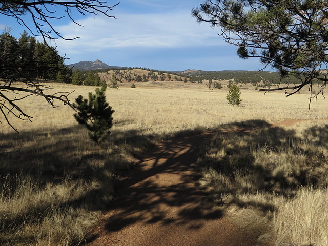 Florissant Fossil Beds National Monument