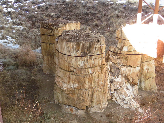 Florissant Fossil Beds National Monument