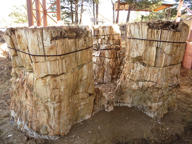 Florissant Fossil Beds National Monument