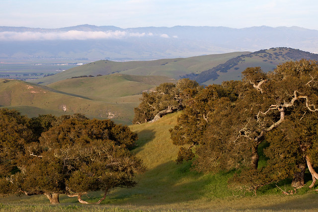 Fort Ord National Monument