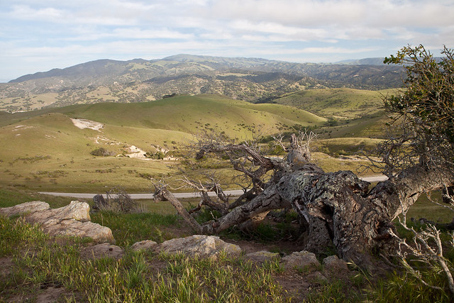 Fort Ord National Monument