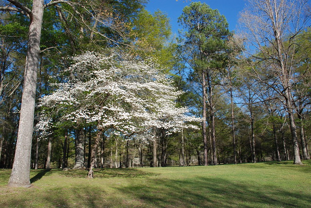 Horseshoe Bend National Military Park