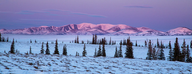 Iditarod National Historic Trail