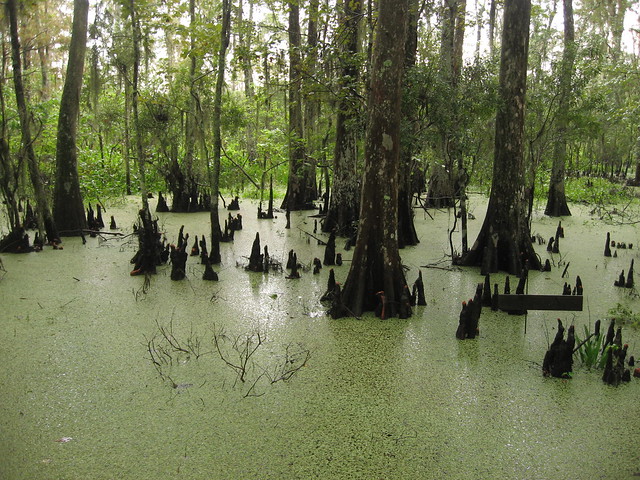 Jean Lafitte National Historical Park