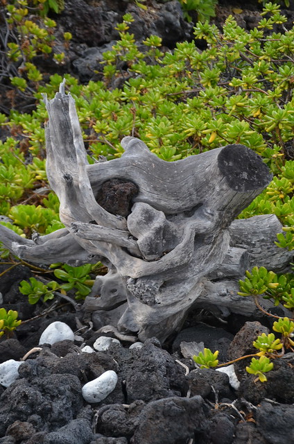 Kaloko-Honokōhau National Historical Park