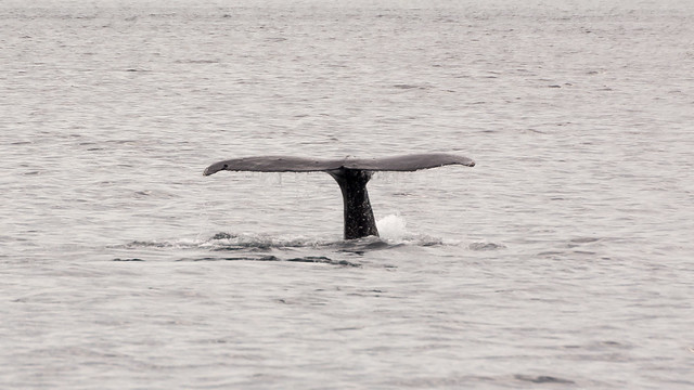 Kenai Fjords National Park