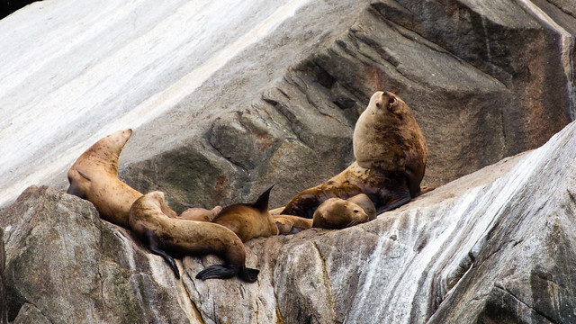 Kenai Fjords National Park