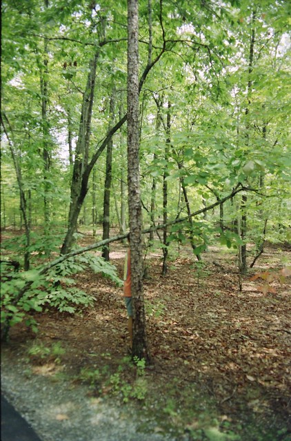 Kings Mountain National Military Park