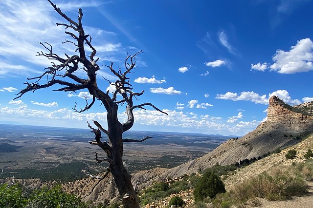 Mesa Verde National Park