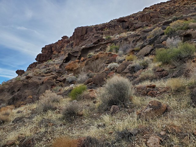 Mojave National Preserve