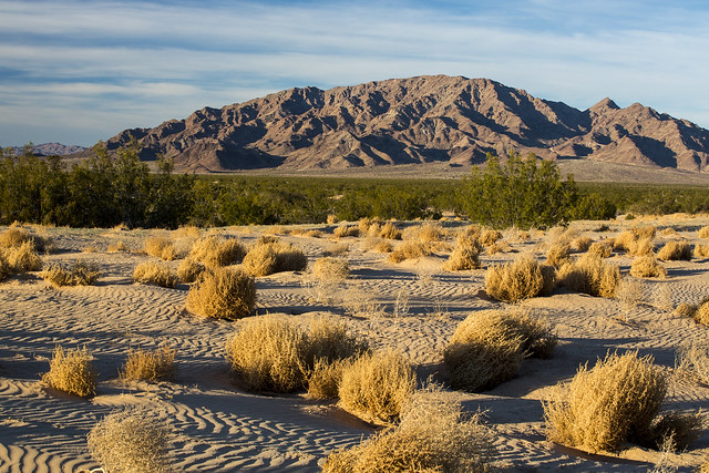 Mojave Trails National Monument