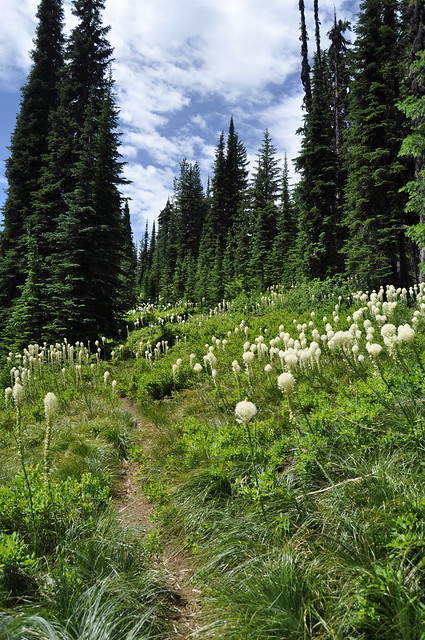 Nez Perce National Historic Trail