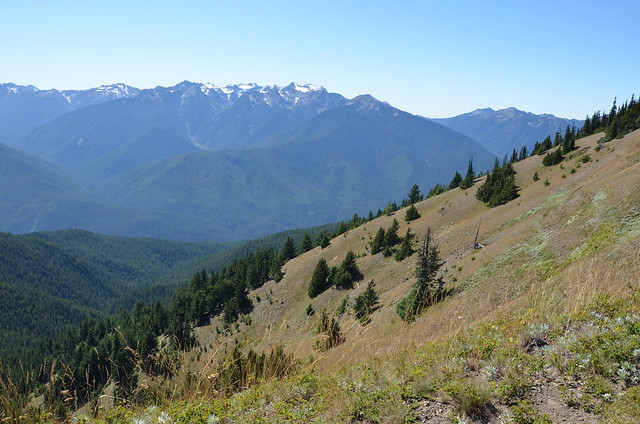 Olympic National Park