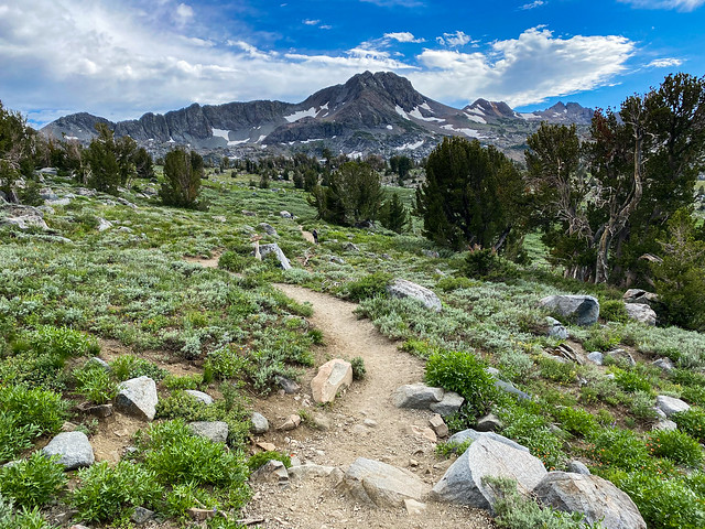 Pacific Crest National Scenic Trail