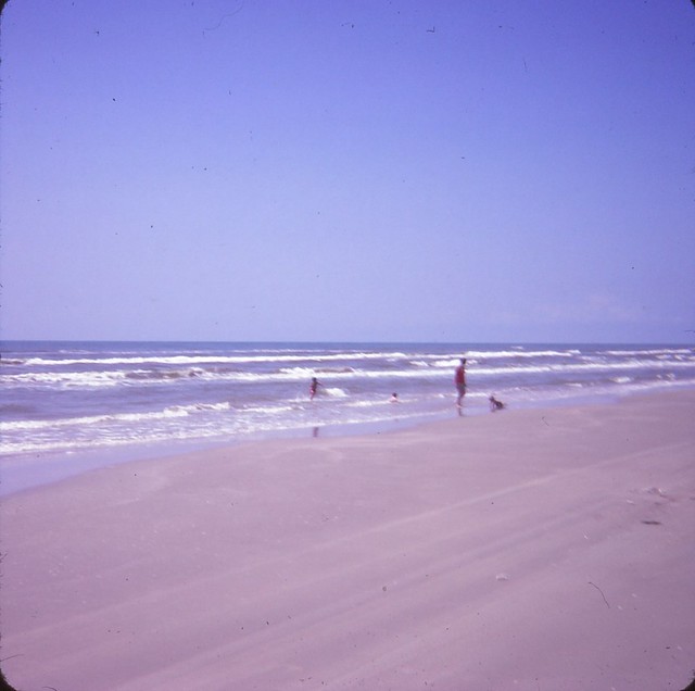 Padre Island National Seashore
