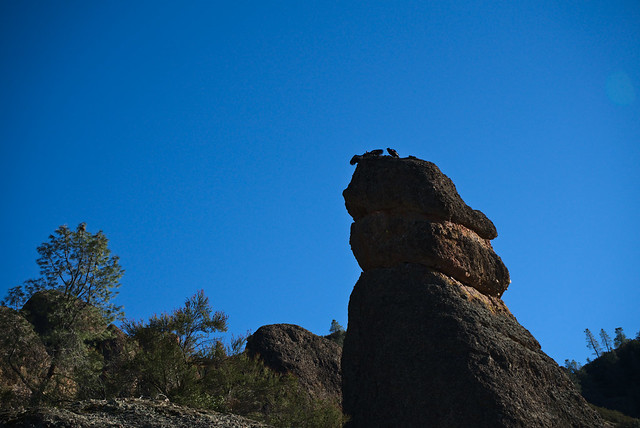 Pinnacles National Park