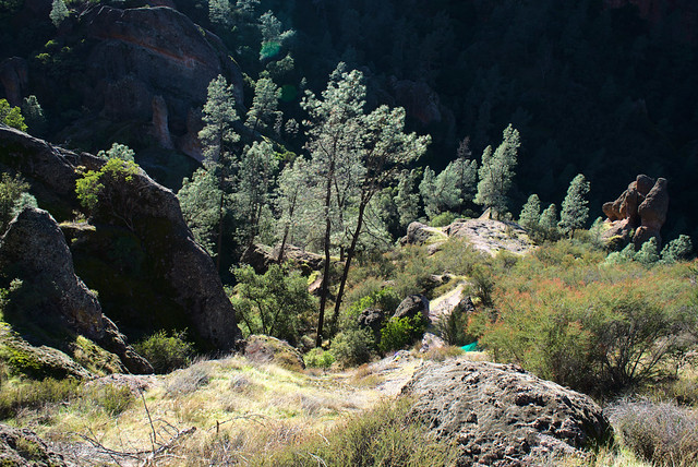 Pinnacles National Park
