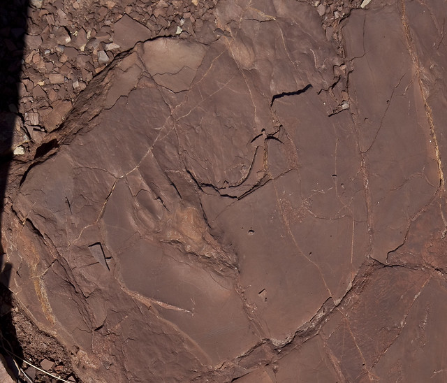 Prehistoric Trackways National Monument