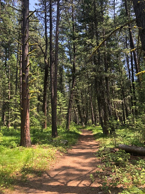 Rattlesnake National Recreation Area