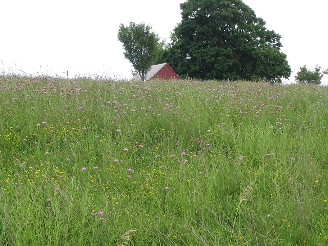 Saratoga National Historical Park