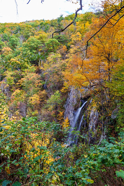 Shenandoah National Park