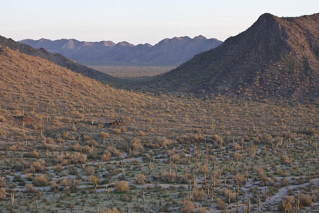 Sonoran Desert National Monument