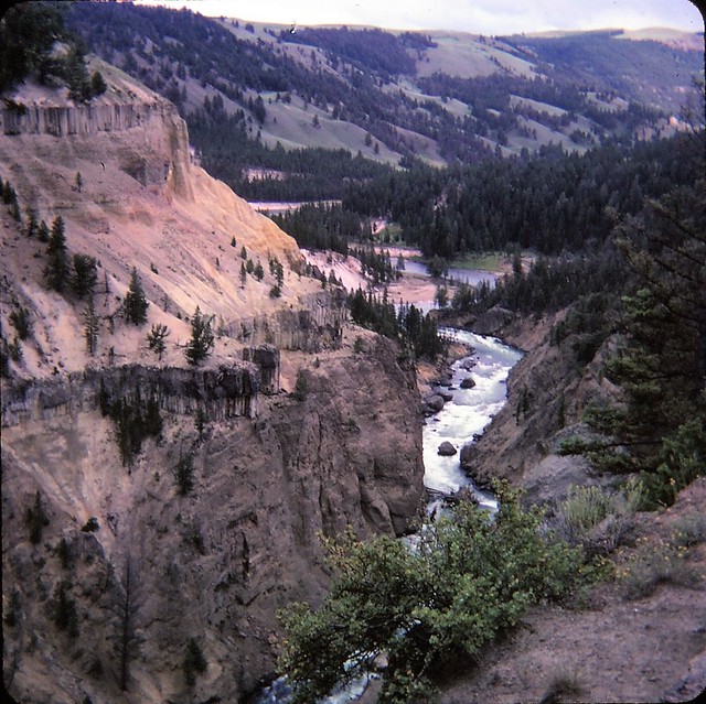 Yellowstone National Park